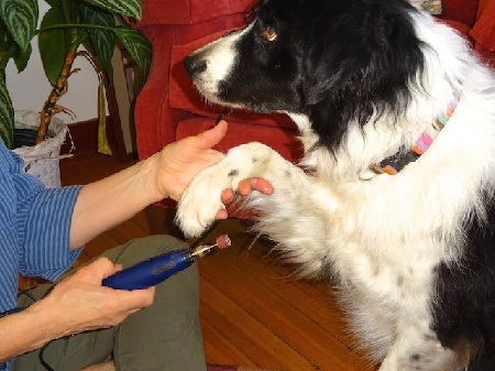 nail-trim
