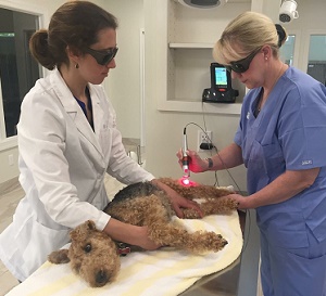 Laser Therapy