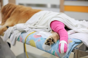 Surgery